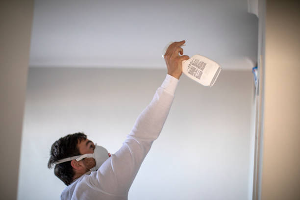 Best Commercial Mold Removal  in Manchester, PA