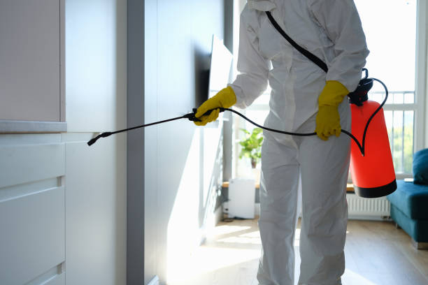 Best Certified Mold Removal  in Manchester, PA