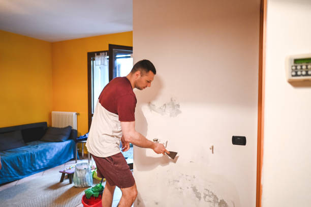 Best Toxic Mold Removal  in Manchester, PA