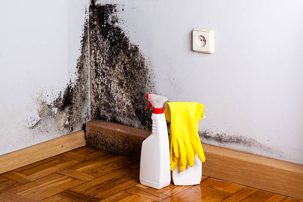Crawl Space Mold Removal in Manchester, PA